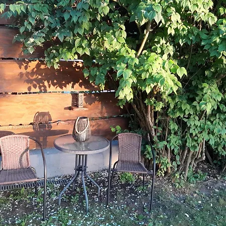 Siwy * Mrągowo